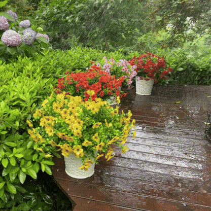 | 60% OFF Today | 🌷Trilumia® UV-Resistant Outdoor Flowers | Zero Maintenance Color | 50% OFF Today