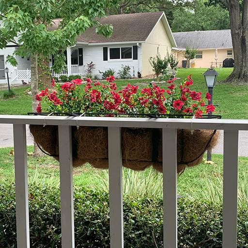 | 60% OFF Today | 🌷Trilumia® UV-Resistant Outdoor Flowers | Zero Maintenance Color | 50% OFF Today